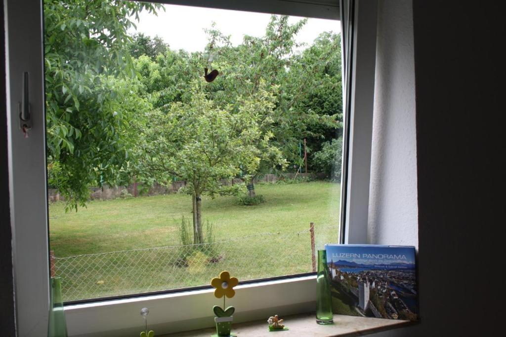 Casa Mya Flat With Gardenaccess And Terrase Apartment Kassel Exterior photo